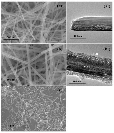 catalysts special issue advanced strategies  catalyst design