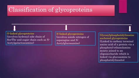 Structure And Functions Of Glycoplipids And Glycoproteins