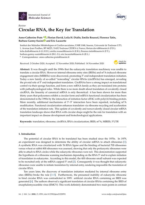 Pdf Circular Rna The Key For Translation