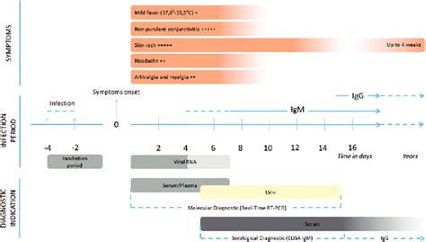 Chronology Of Viral Replication Relationship With Clinical And