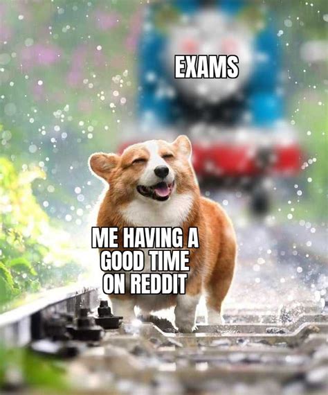 Hey Boy Good Luck On Finals Meme