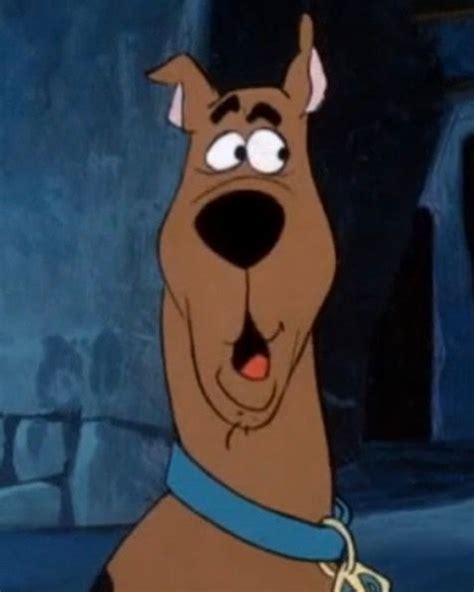 Funny Scooby Doo Pictures On Instagram Scooby Scoobydoo