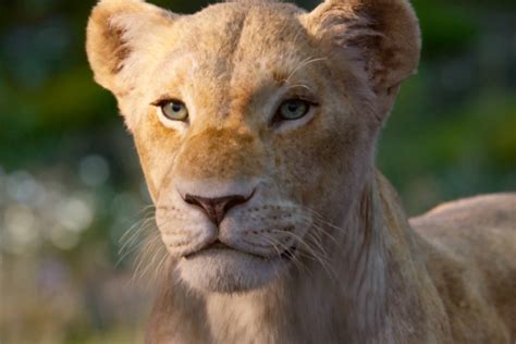 Listen To Beyonc In The Lion King Live Action Remake Trailer