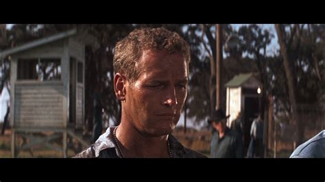 Cool Hand Luke Quotes Sound. QuotesGram