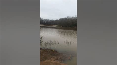 Wolf Creek Lake Palestine Tx 01 Youtube