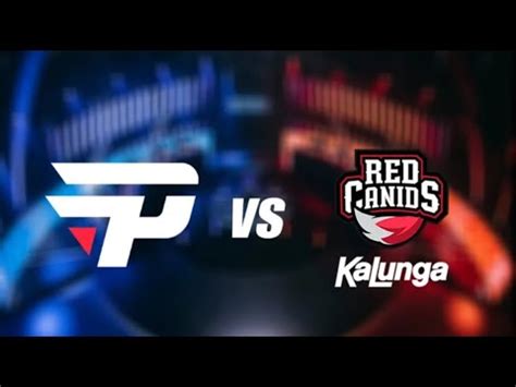 Pain Gaming Vs Red Canids Rmr Pgl Major Youtube