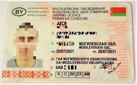 Вот что белорусы показывают литовским пограничникам