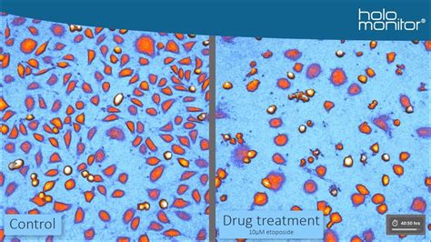 Efficiently Evaluate Drug Responses In Living Cells Over Time