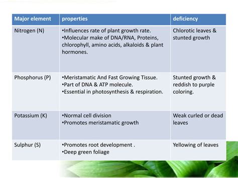 Plant Biotechnology Introduction | PPT