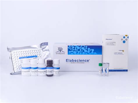 QuicKey Pro Human T Testosterone ELISA Kit Elabscience