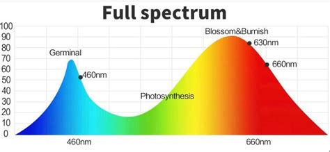 Whats The Best Led Grow Light Spectrum For Plants Growth