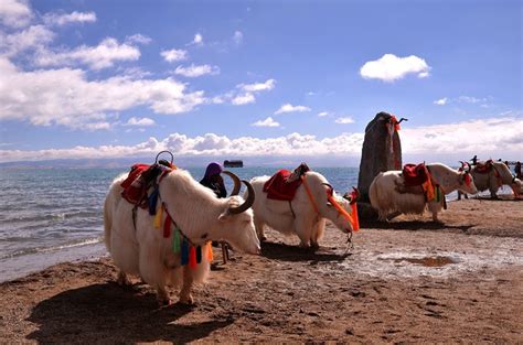 13 Days Qinghai And Tibet Train Tour From Beijing China Travel Agency