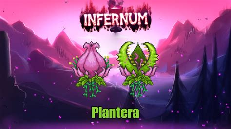 Terraria Calamity Infernum Plantera Boss Fight 4k60fps Youtube