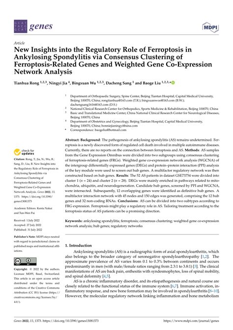 Pdf New Insights Into The Regulatory Role Of Ferroptosis In