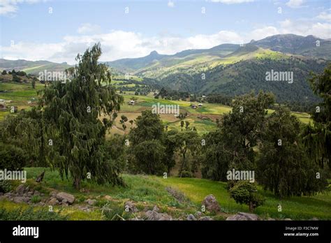 Bale Mountains National Park Ethiopia Africa Stock Photo Alamy