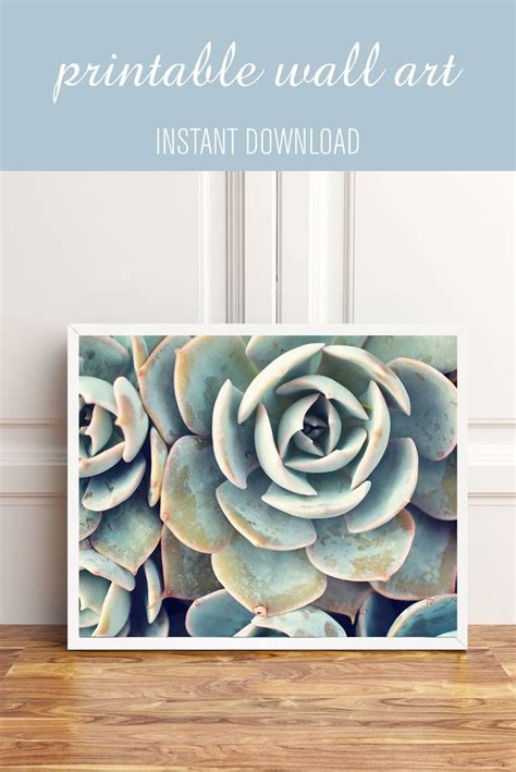 Printable Art Succulent Instant Download Succulent Wall Art