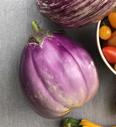 Aubergine Violette De Florence