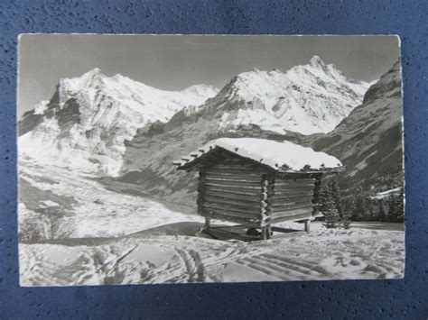 GRINDELWALD MÄNNLICHEN ABFAHRT ALPHÜTTE SCHNEE 1960 AK BEO Kaufen auf