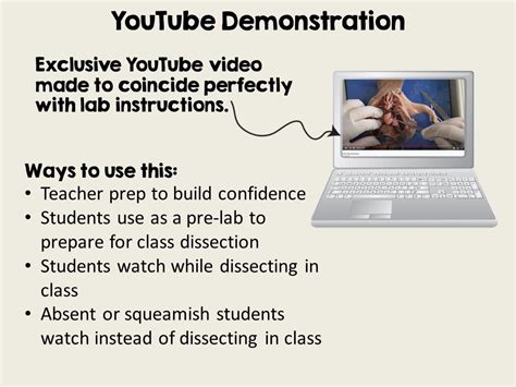 Fetal Pig Dissection Lab Suburban Science