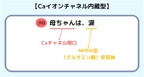 【薬剤師国家試験】イオンチャネル内蔵型受容体のゴロ教えます！（ゴロで覚える薬学） 薬剤師の気まぐれノート