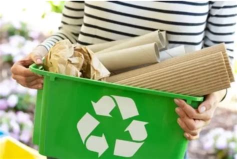 Diferencias Entre Papel Ecológico Y Papel Reciclado El Blog De