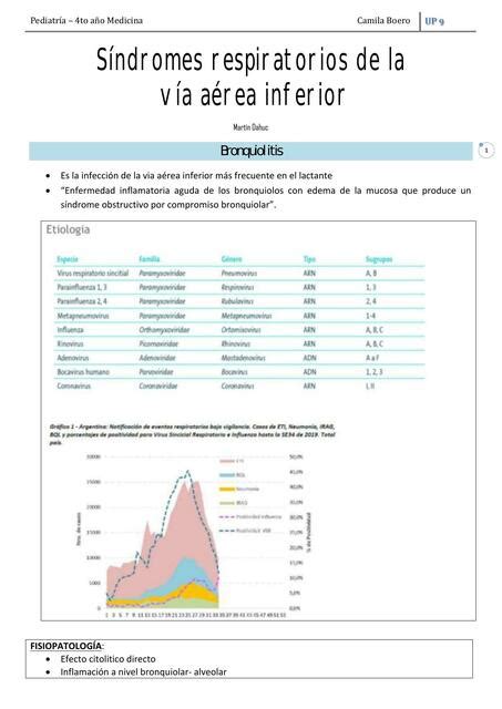 S Ndromes Respiratorios De La V A A Rea Inferior Uner Medicina Udocz