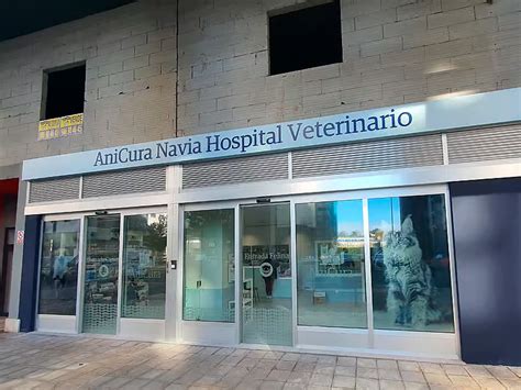 Anicura Navia Hospital Veterinario A La Vanguardia De La Medicina