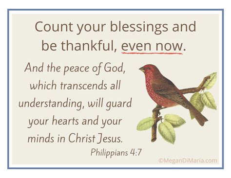 Counting Blessings And Being Thankful