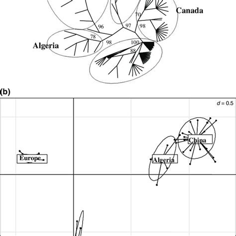 Classification Of The Ligula Intestinalis Populations Based On The