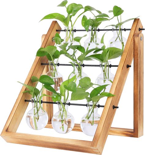 Xxxflower Plant Terrarium With Wooden Stand Air Planter Bulb Glass Vase Metal