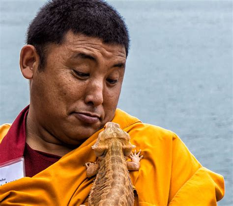 Tibetan Monk Encounters Buddha The Bearded Dragon Lizard Flickr