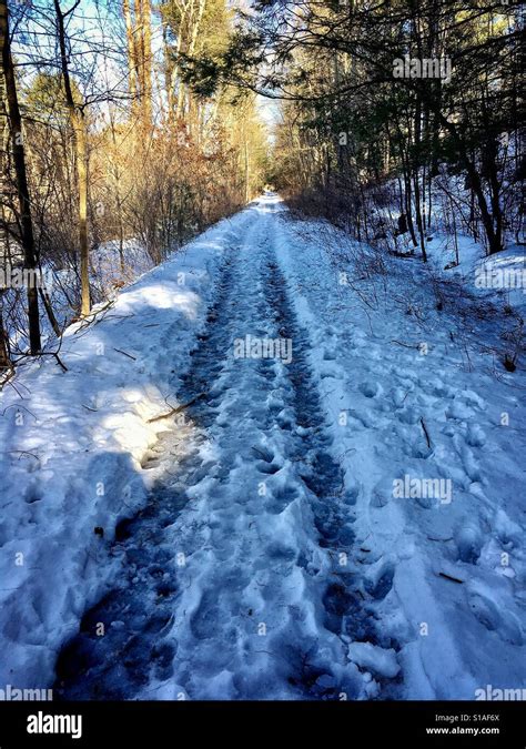 Snowy hiking trail Stock Photo - Alamy