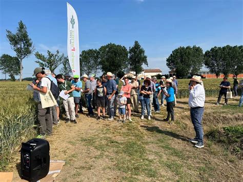 Con Demo Frumenti 2023 Del CAP Agricoltori In Campo Alla Scoperta Dei