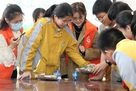 湖州市各级妇联组织积极开展植树添绿活动澎湃号·政务澎湃新闻 The Paper