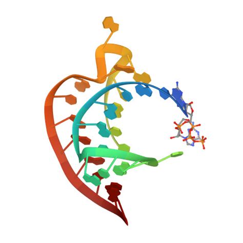 RCSB PDB 1L3D Low Resolution Crystal Structure Of A Viral RNA Pseudoknot