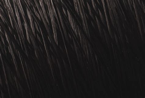 Dyneema Now In Black Gearjunkie
