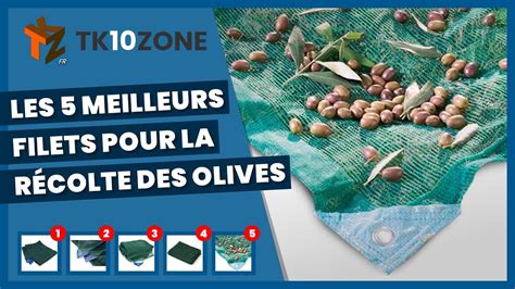 Les Meilleurs Filets Pour La R Colte Des Olives Youtube