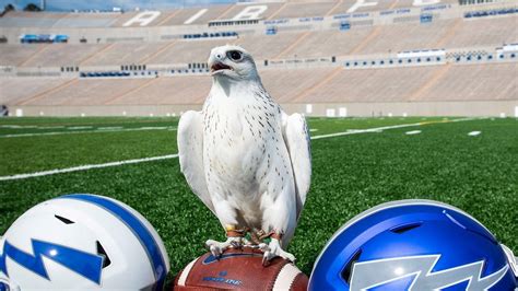 Air Force Academy's new falcon mascot to fly for first time during ...