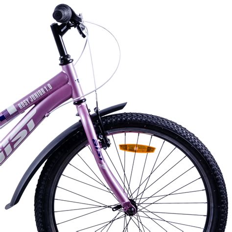 Procură Bicicletă Aist Rosy Junior 1.0 24 24 Urban/ Violet | Enter Online