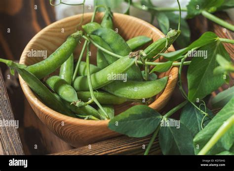 Empty Pea Pods Hi Res Stock Photography And Images Alamy