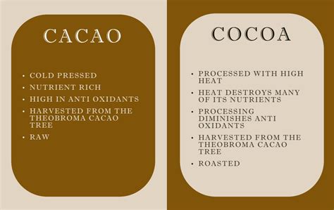 Health Benefits Of Cacao Vs Cocoa Caloriebee