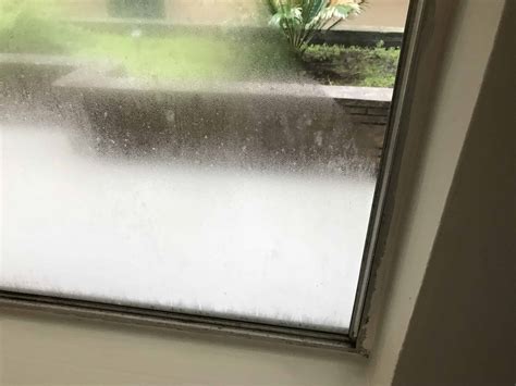 How can windows help prevent condensation and mold in your home? - Save