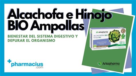 Arkopharma Alcachofa E Hinojo Bio Ampollas C Mo Tomar Composici N