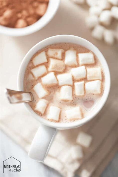 Homemade Hot Cocoa Mix Recipe