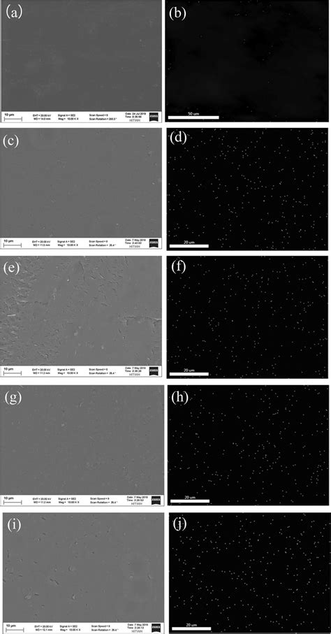 Sem Images And Corresponding Edx Elemental Mapping Of R Nafion A B Download Scientific