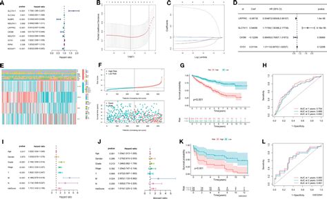 Frontiers An Integrative Multi Omics Analysis Based On Disulfidptosis