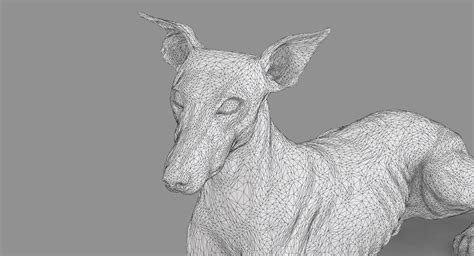 3D animals rendered model - TurboSquid 1365950