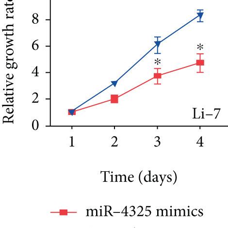 The Function Of Mir On Hcc Cell Migration And Invasion Snu