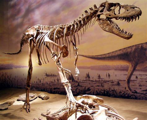 Albertosaurus Characteristics, Facts, Range, Habitat and Behavior