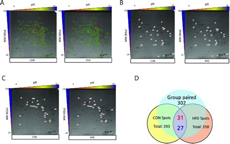 D Page Images And Venn Diagram Showing Differential Protein Expression